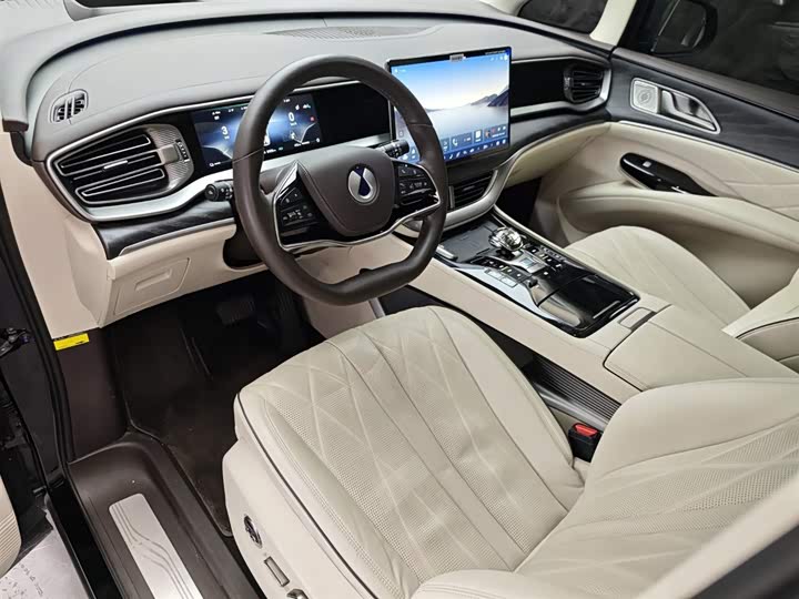 Фото 6 - Denza D9