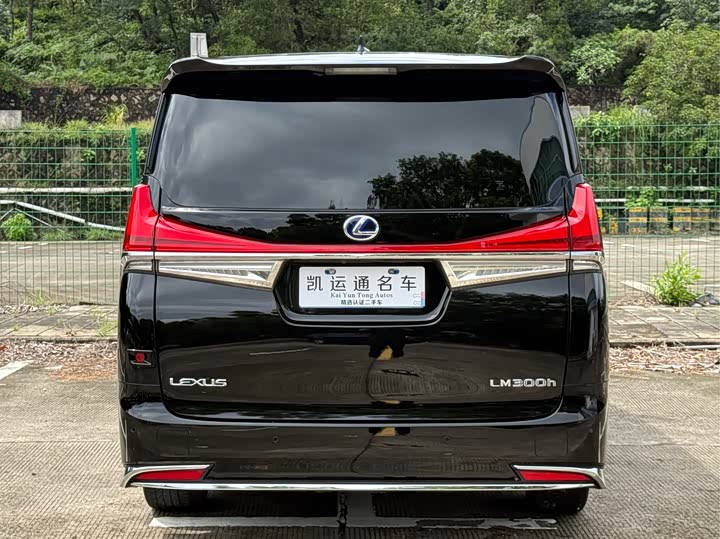 Фото 17 - Lexus LM