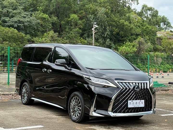 Фото 6 - Lexus LM