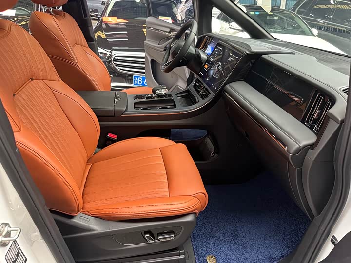 Фото 28 - GAC Trumpchi E9