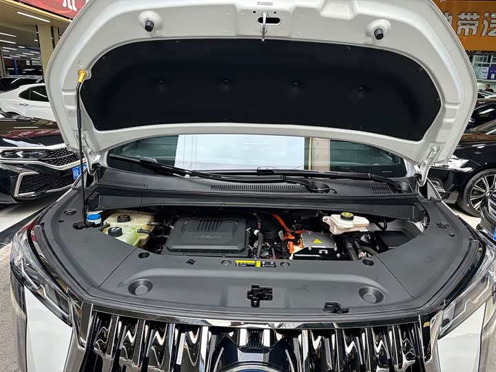 Фото 36 - GAC Trumpchi E9