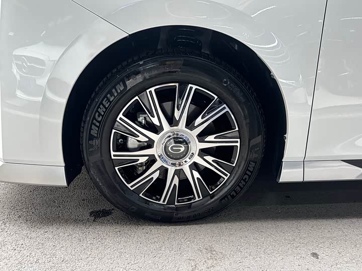 Фото 40 - GAC Trumpchi E9