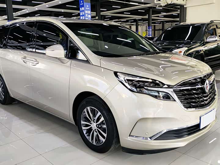 Фото 3 - Buick GL8 ES