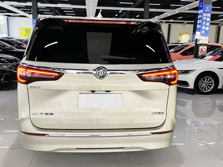 Фото 5 - Buick GL8 ES