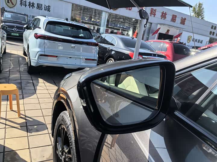 Фото 13 - IM motors LS7