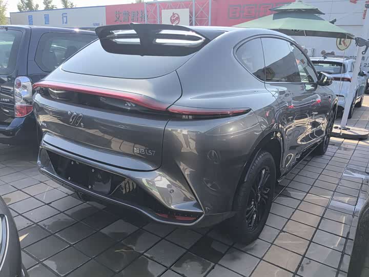 Фото 7 - IM motors LS7