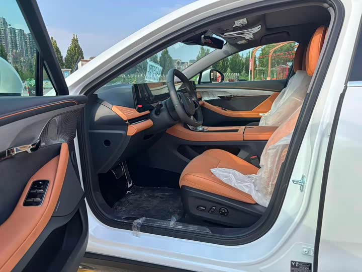 Фото 4 - Voyah Passion