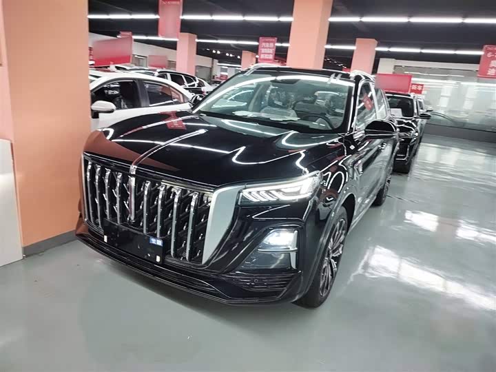 Фото 1 - Hongqi HS5