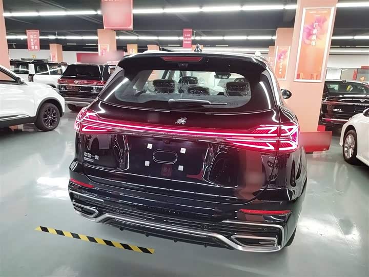 Фото 6 - Hongqi HS5