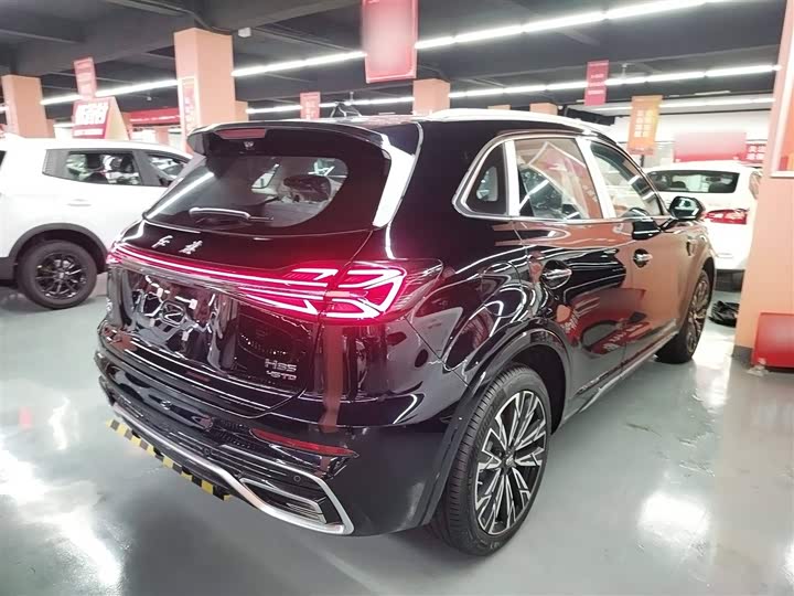 Фото 7 - Hongqi HS5
