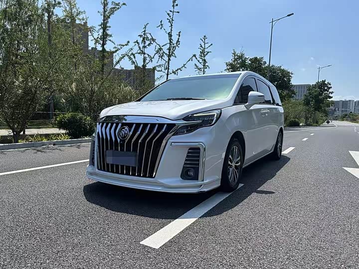 Фото 1 - Buick GL8 ES