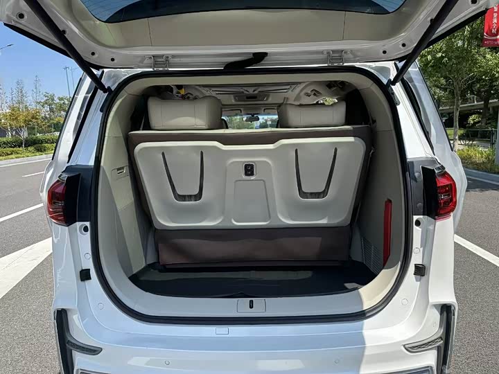 Фото 12 - Buick GL8 ES