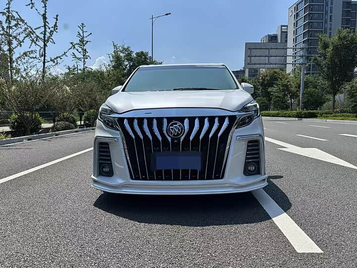 Фото 2 - Buick GL8 ES