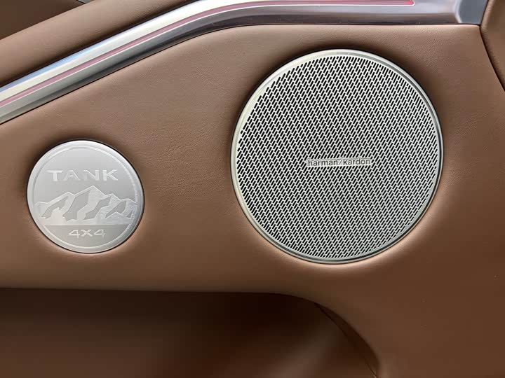 Фото 18 - Tank 700 Hybrid