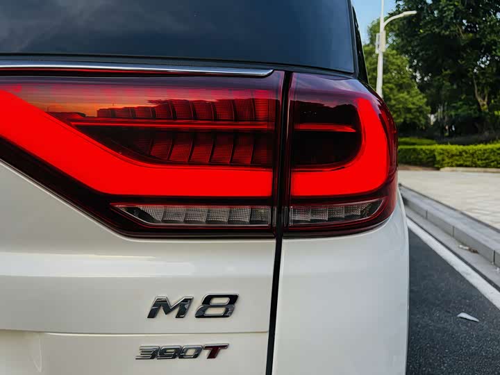 Фото 14 - GAC Trumpchi M8