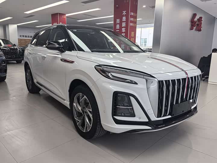 Фото 2 - Hongqi HS3