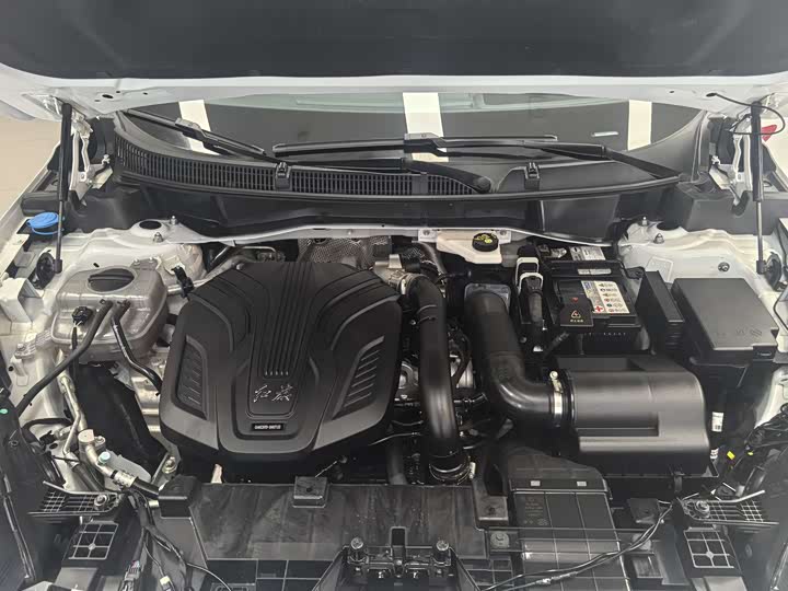 Фото 4 - Hongqi HS3