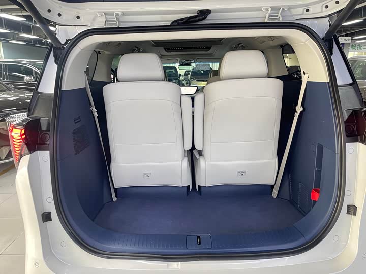 Фото 20 - Buick GL8 Hybrid