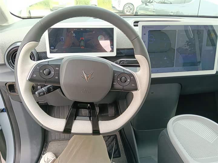 Фото 10 - BAIC Arcfox Kaola