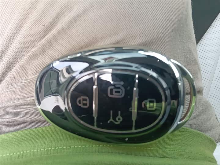 Фото 9 - BAIC Arcfox Kaola