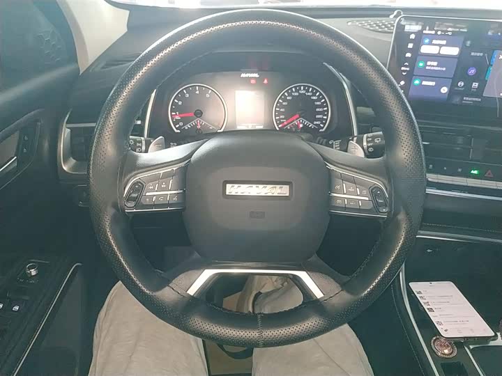 Фото 11 - Haval H6