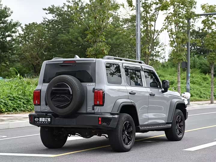 Фото 14 - Tank 300