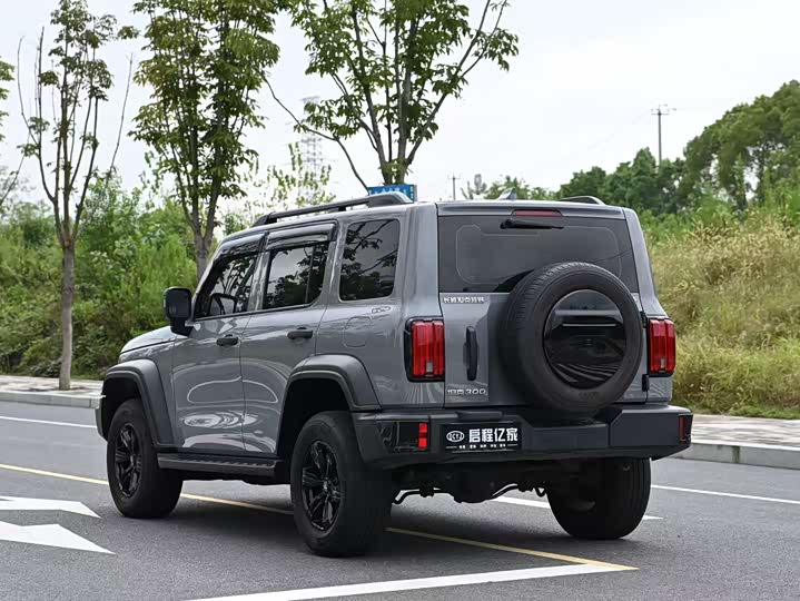 Фото 16 - Tank 300