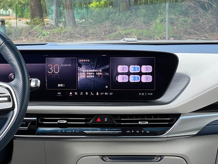 Фото 10 - Buick GL8 Century