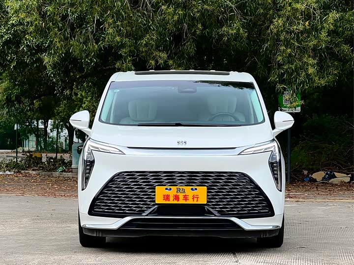 Фото 2 - Buick GL8 Century