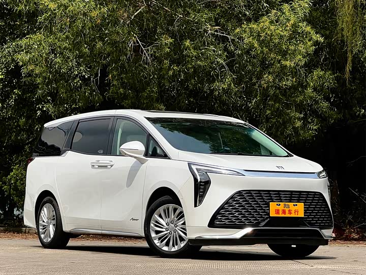 Фото 3 - Buick GL8 Century