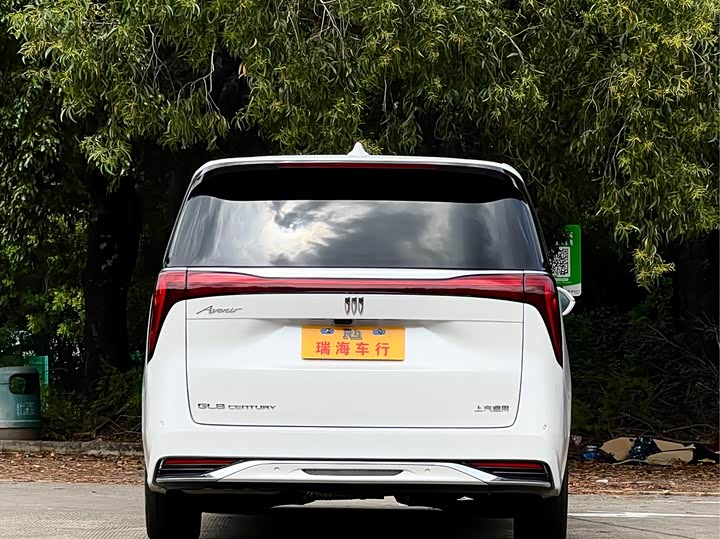 Фото 5 - Buick GL8 Century