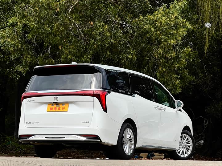 Фото 6 - Buick GL8 Century