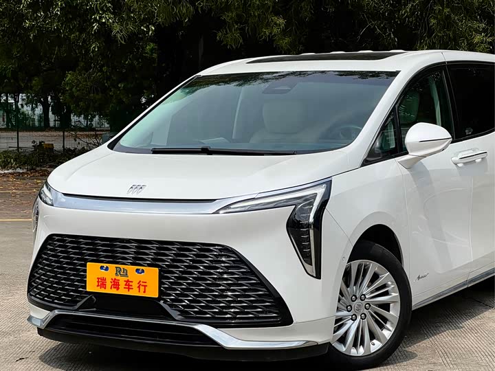 Фото 7 - Buick GL8 Century