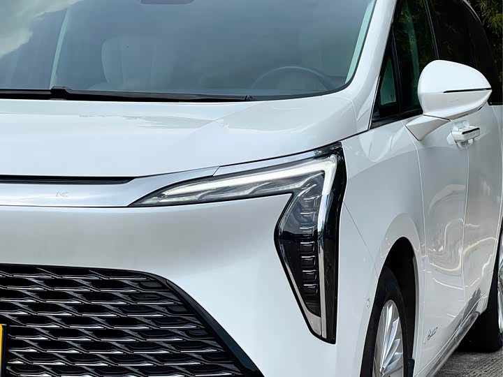 Фото 8 - Buick GL8 Century