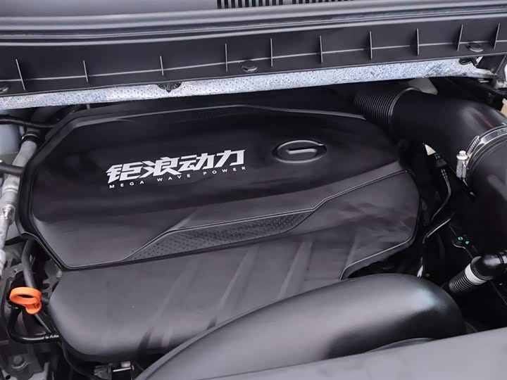 Фото 24 - GAC Trumpchi M8