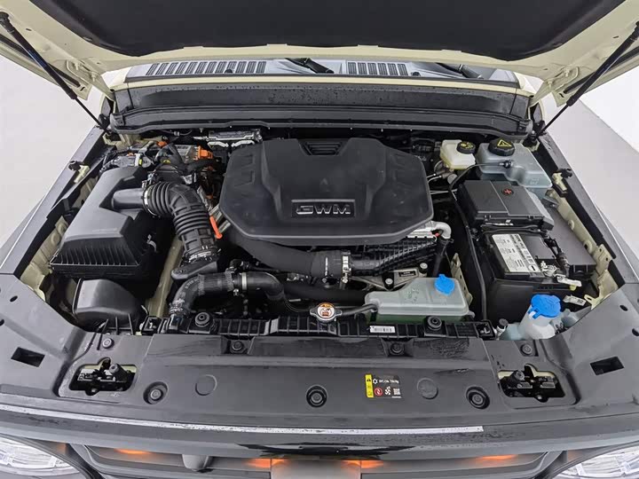 Фото 6 - Tank 300 Hybrid