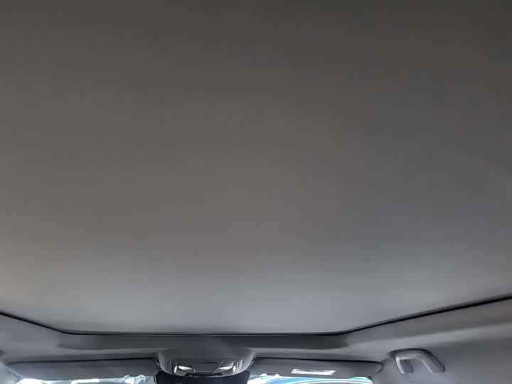 Фото 11 - Haval H-Dog