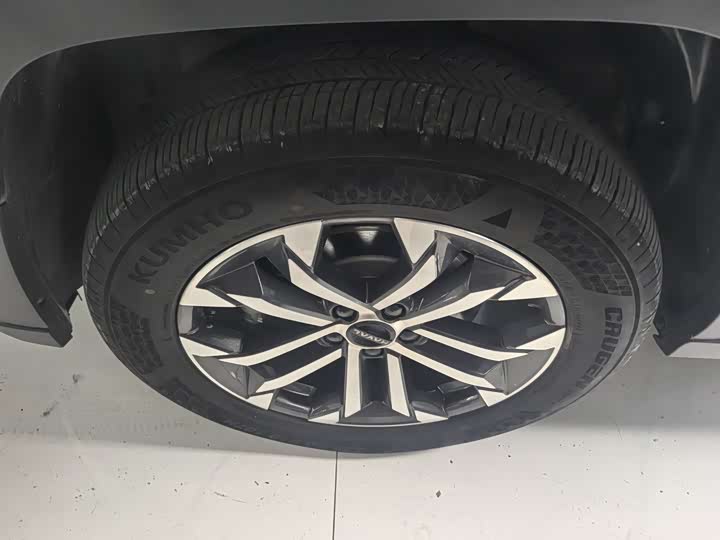 Фото 13 - Haval H-Dog