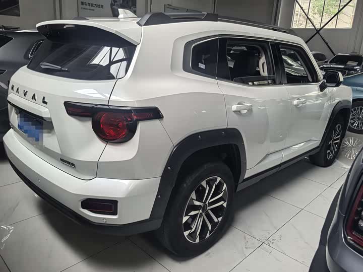 Фото 15 - Haval H-Dog