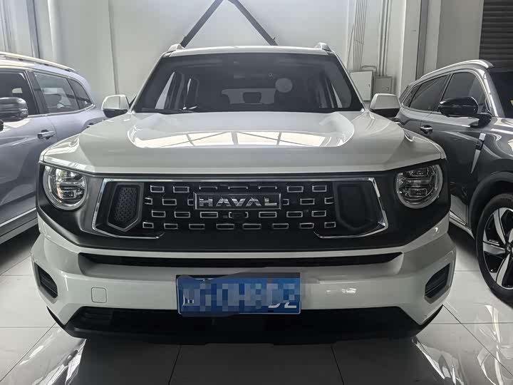 Фото 2 - Haval H-Dog