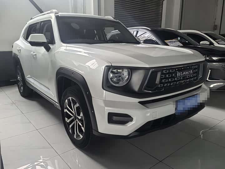 Фото 3 - Haval H-Dog