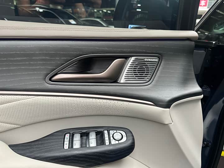 Фото 12 - Denza D9