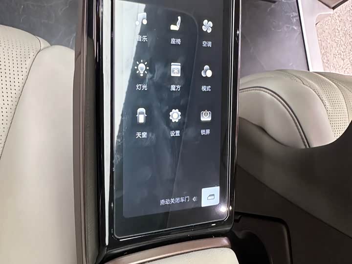 Фото 14 - Denza D9