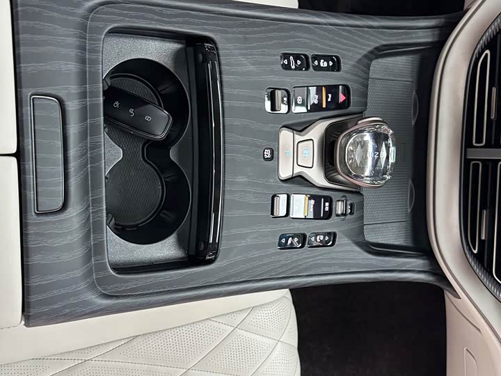 Фото 15 - Denza D9