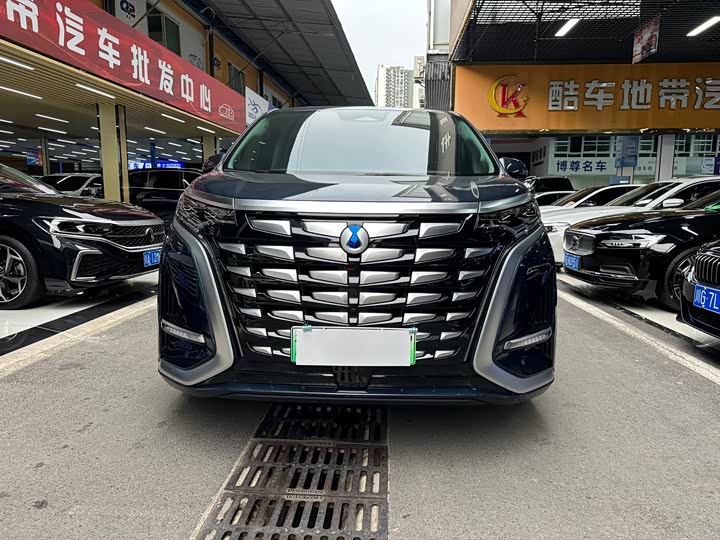 Фото 2 - Denza D9