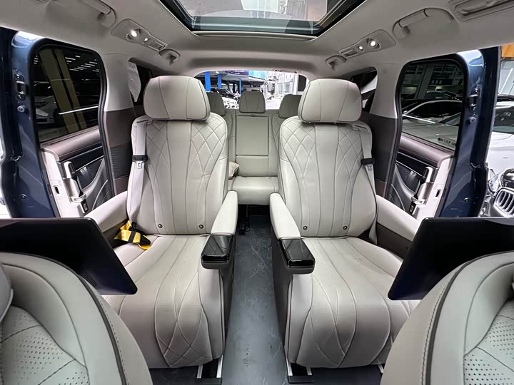 Фото 25 - Denza D9