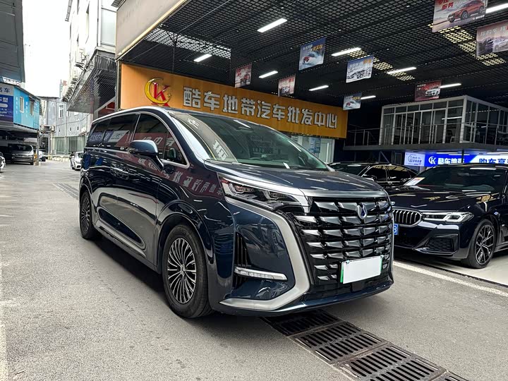 Фото 3 - Denza D9