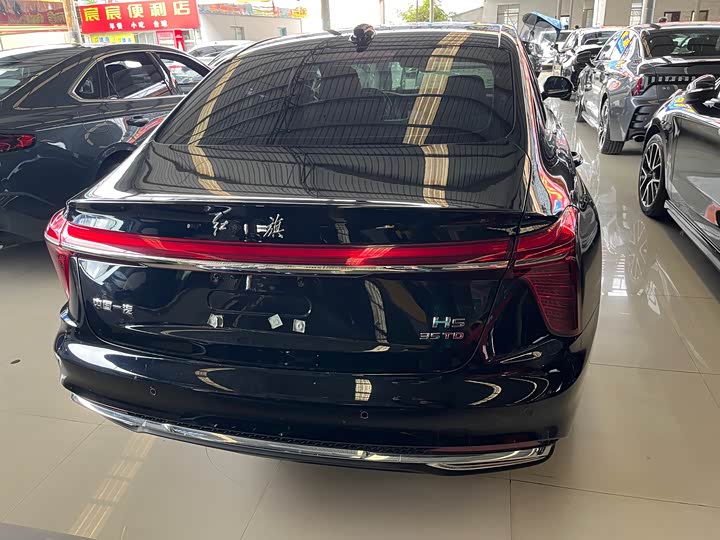 Фото 6 - Hongqi H5