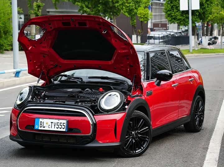 Фото 2 - Mini Mini