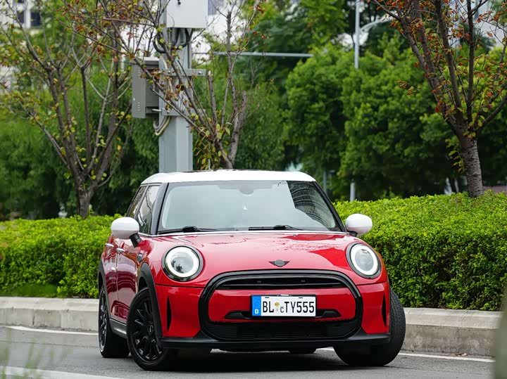 Фото 33 - Mini Mini